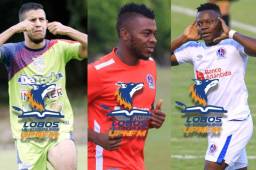 El delantero Juan Ramón Mejía, el lateral izquierdo Elmer Güity y el artillero Júnior Lacayo, han sido anunciados esta noche como nuevos refuerzos de Lobos de UPN.