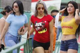 Sin duda alguna las aficionadas más sexys de la Liga Nacional llegan al Yankel Rosenthal a ver a Marathón. Mirá como desfilan las guapas seguidoras del verde.