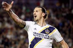 El delantero sueco, Zlatan Ibrahimovic, se proclamó el mejor jugador de la MLS.