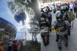 El animal terminó colgado en un árbol en las cercanías del estadio Nacional de Tegucigalpa. Foto especial