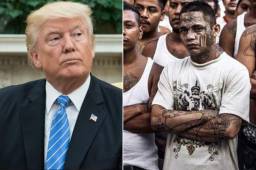 Donald Trump cree que el aumento de centroamericanos ilegales en su país dispara a la MS.
