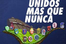 Los mejores equipos del área se han unido en la lucha contra el coronavirus.