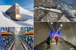 Se trata de un búnker que posiblemente pueda salvar a la humanidad de vivir una peligrosa pandemia o apocalipsis. Dentro del mismo hay semillas como reversa alimenticia.