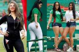 Las bellas chicas aparecieron por todas partes en el estadio Yankel Rosenthal donde se da el fenómeno que llegan las mujeres más lindas en Honduras.
