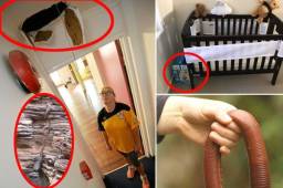 Pese a lo espectacular del país de Australia, muchos ciudadanos australianos tienen que lidiar con algunas extrañas especies de animales que causan terror. Te mostramos los animales más exóticos y peligrosos en Australia.