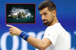 Novak Djokovic no lo soporta más.