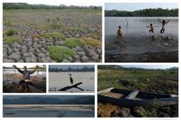 Las crecientes de los ríos Chamelecón y Ulúa por la tormenta Eta inundaron los alrededores de San Pedro Sula dejando muerte y destrucción, pero también recuperaron Jutucuma, Ticamaya y otras lagunas de esa zona.