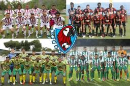 La Liga Nacional podría tener tres nuevos equipos en la próxima temporada. La intención es invitar a Platense y otro club de la Liga de Ascenso, más el que ascienda, pero si no se puede resolver el tema de los tiburones, serían tres clubes de la segunda que lleguen a Liga.