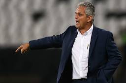 Reinaldo Rueda ha ganado todo lo que ha disputado con el Atlético Nacional, salvo el Mundial de Clubes.