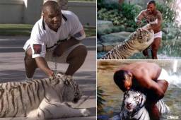 El reconocido exboxeador confirmó la historia de cuando su ''mascota'' le arrancó el brazo a una mujer, razón por la que tuvo que venderlo. Acá te mostramos cómo era su relación con el animal.