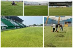 La Liga Nacional canceló el torneo Clausura 2020 que suspendió desde el 15 de marzo por la pandemia del coronavirus. 51 días después, así lucen las canchas de los estadios en Honduras.