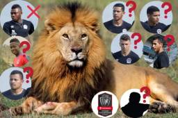 En el campamento del león hay varios jugadores que se les venció su contrato, pero la directiva ya se ha puesto en plática con la mayoría.