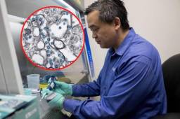 La cepa de California tiene síntomas de mayor impacto en las personas y las vacunas son menos efectivas.