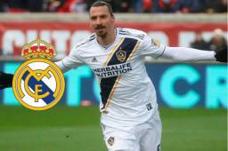 Zlatan Ibrahimovic tiene 37 años de edad y en diciembre estaría libre de la MLS.
