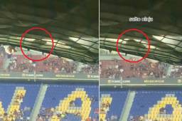 Un video de ratas en el techo del Spority Camp No se ha hecho viral en las redes sociales.