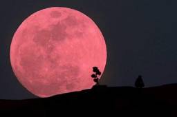 La NASA confirmó que este 7 y 8 de abril se podrá oberservr la luna llena más grande del 2020.