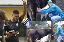 Nixon Duarte es titular indiscutible en el Honduras Progreso.