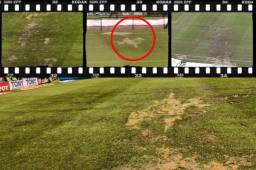 El estadio Azteca de México recibió una mejora en su cancha, se le cambió el césped a uno híbrido y debido a las lluvias ha tenido algunos daños.