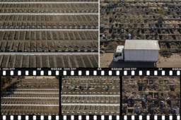 La pandemia del COVID-19 sigue golpeando con fuerza a los países latinoamericanos, que han tenido que cavar miles de tumbas para poder darle el último adiós a sus seres queridos.