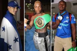 Teofimo, Escorpión y Kevin, de los más destacado en este 2016.