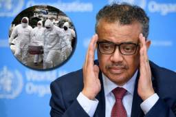 Tedros Adhanom Ghebreyesus desmintió que el coronavirus proviene de un laboratorio.