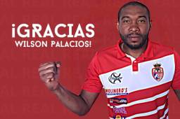 Real Sociedad anunció que le rescindió contrato al mediocampista Wilson Palacios para 'apoyarlo en sus nuevos proyectos'.