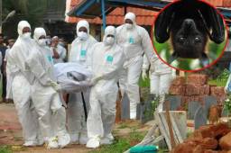 La OMS avisó al mundo sobre un nuevo brote de VNi que acabó con la vida de 17 personas en la India.