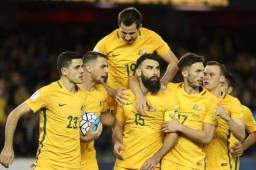 Mile Jedinak (15) es uno de los capitanes de la Selección de Australia.
