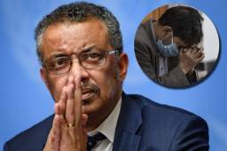 La organización dirigida por Tedros Adhanom cree que la pandemia también fue provocada gracias al cambio climático.