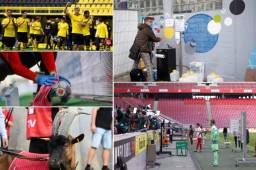 Estas son las 15 curiosidades que se presentaron este fin de semana en la vuelta del fútbol en la Bundesliga. ¿Qué pasó con la mascota de uno de los clubes históricos de Alemania?