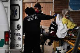 Expertos en genética estadounidenses aseguran que el virus llegó a Nueva York en el mes de febrero procedente de Nueva York. Foto AFP