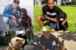 Ángel Tejeda, Roger Espinoza y hasta Ramón Núñez, que está alejado de la canchas, presumen de sus perros en las redes sociales.