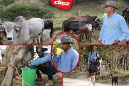 Encontramos a Donis Escober en medio de vacas, caballos y una vida de campo lejos del ruido de la ciudad. El exportero del Olimpia y dos veces mundialista con Honduras revela como le ha cambiado la vida.