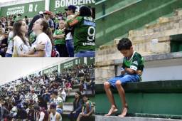 Los aficionados del Chapecoense llenaron el estadio para llorar por los jugadores que perdieron la vida en el avión estrellado en Colombia. Fotos AFP y EFE