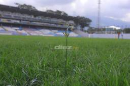 28.5 millones de lempiras costaría instalación de césped híbrido en el Estadio Morazán; 100 tipos de gramas encontradas
