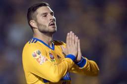 El francés André-Pierre Gignac estará una semana más de baja con Tigres.