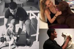 Futbolistas, tenistas y hasta esquiadoras profesionales han mostrado en las redes sociales a sus 'mejores amigos'. Tienes que conocerlos.