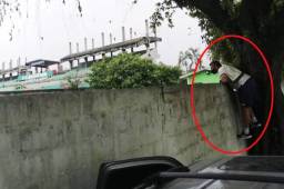 El entrenador del Motagua, Diego Vázquez, se sube a un muro del estadio Yankel Rosenthal ya que está castigado y tiene prohibido entrar al inmueble. Foto cortesía