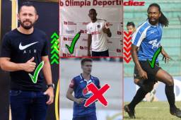 Los equipos de la Liga Nacional están armando un buen plantel.