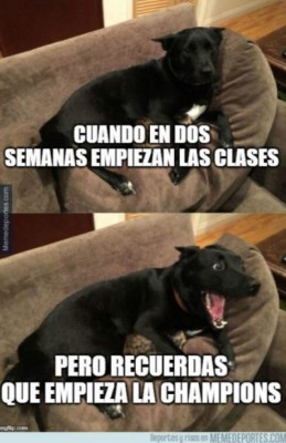 Neymar, Ibrahimovic y Bartomeu, las víctimas favoritas de los memes de la semana &nbsp;&nbsp;&nbsp;