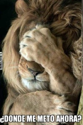 Memes: Tigres elimina a Olimpia de Liga de Campeones Concacaf y se desatan las burlas