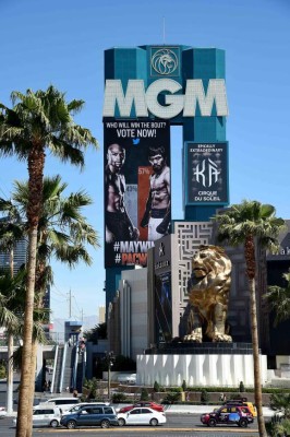 La mejores imágenes previo a la pelea del siglo