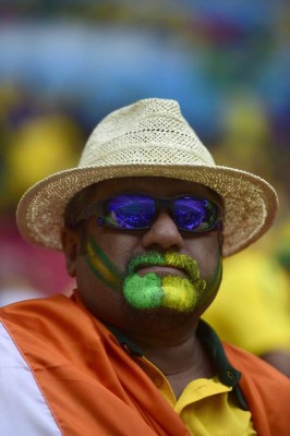 Ambiente en partido de Camerún y Brasil.