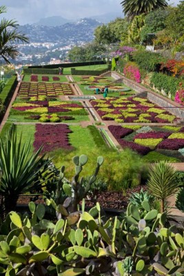 ¡Bellezada! Así el nuevo hogar del hondureño Bryan Róchez en Portugal