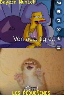 ¡Volaron las redes! Tigres es víctima de terribles memes luego de caer contra el Bayern Múnich