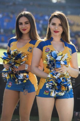 ¡MAMACITAS! En México dejan de ver los partidos por estas hermosas distracciones