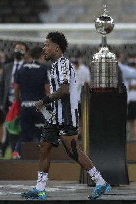 Fotos: La maldición de tocar la Copa Libertadores antes del juego y el gran festejo del Palmeiras