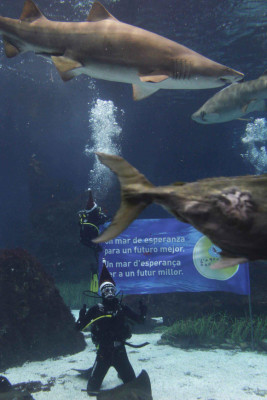 Las mejores imágenes deportivas del viernes por el mundo