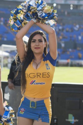 ¡MAMACITAS! En México dejan de ver los partidos por estas hermosas distracciones