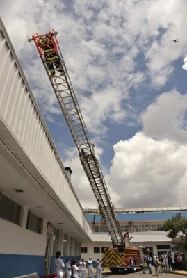 Calles desoladas y animales en las calles: Las postales que deja el coronavirus en el mundo